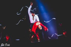 gallery-video-preview