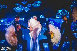 gallery-video-preview