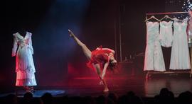 gallery-video-preview