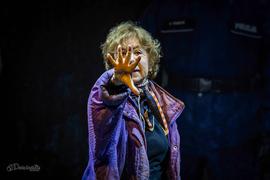 gallery-video-preview