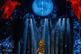 gallery-video-preview