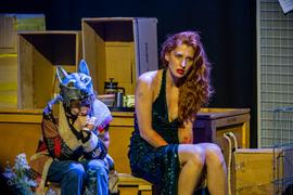 gallery-video-preview